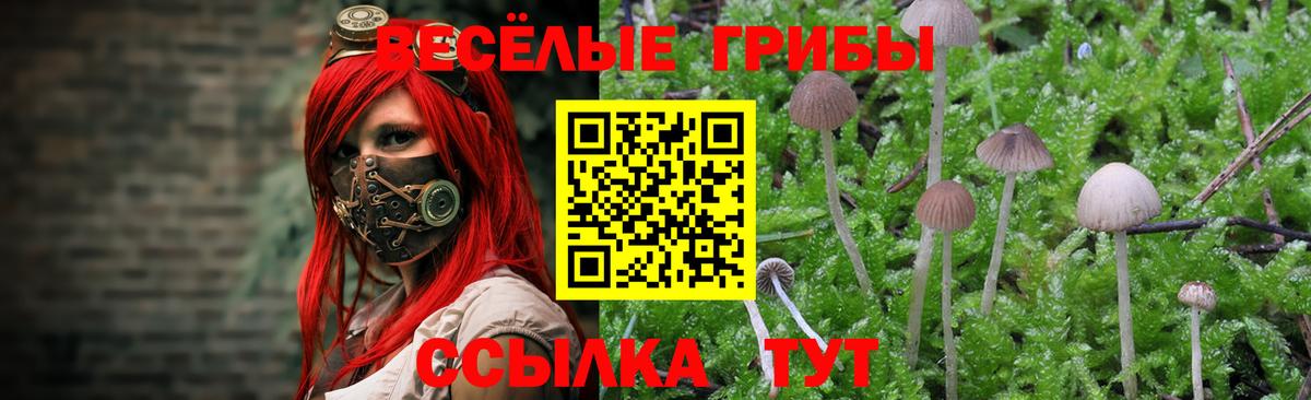 Псилоцибиновые грибы прущие грибы  Вход с VPN  Пятигорск  Галлюциногенные грибы мухоморы 